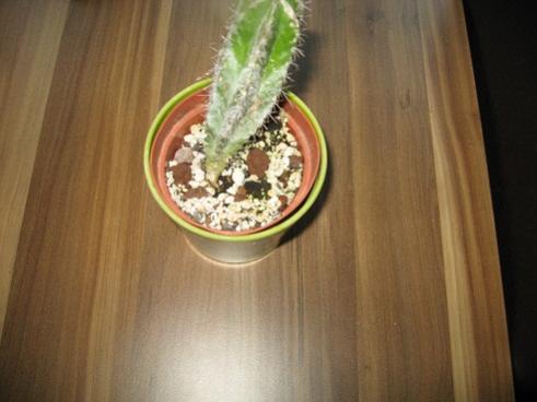 Name:  005.jpg
Views: 606
Size:  23.2 KB