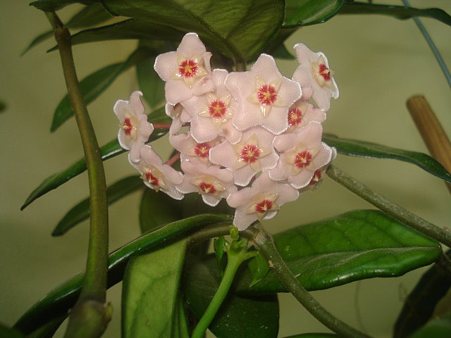 Name:  DSC06976.jpg
Views: 1024
Size:  51.1 KB