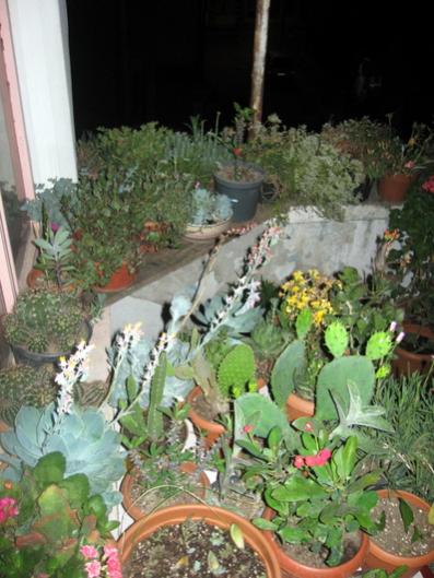 Name:  IMG_1530.jpg
Views: 791
Size:  43.0 KB