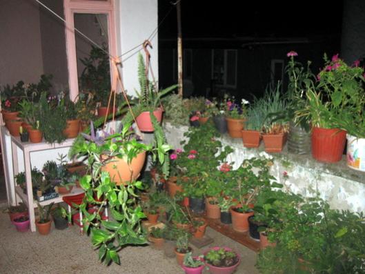 Name:  IMG_1528.jpg
Views: 801
Size:  40.2 KB