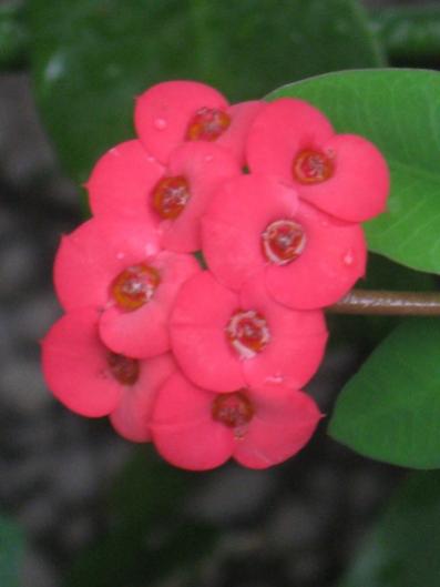 Name:  IMG_0853.jpg
Views: 1265
Size:  17.5 KB