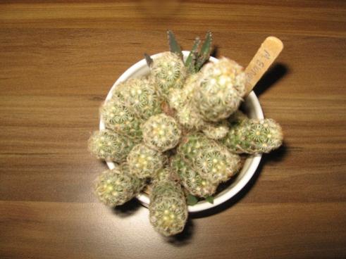 Name:  004.jpg
Views: 915
Size:  28.0 KB