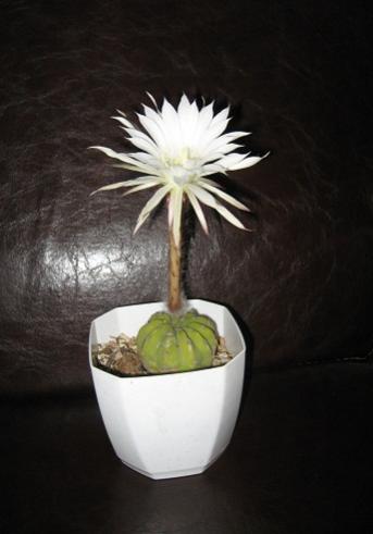 Name:  005.jpg
Views: 692
Size:  18.7 KB