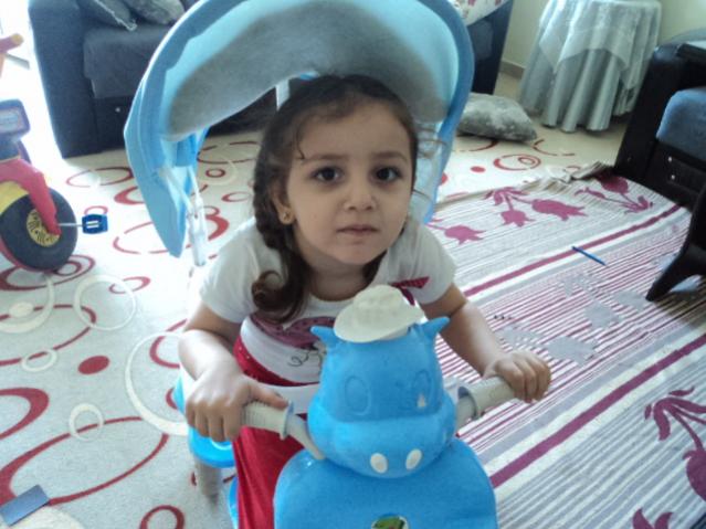 Name:  DSC03504.jpg
Views: 461
Size:  48.0 KB