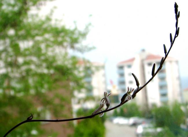 Name:  IMG_83012.jpg
Views: 558
Size:  30.2 KB