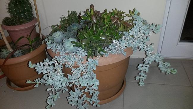 Name:  20150127_210856.jpg
Views: 1089
Size:  42.7 KB