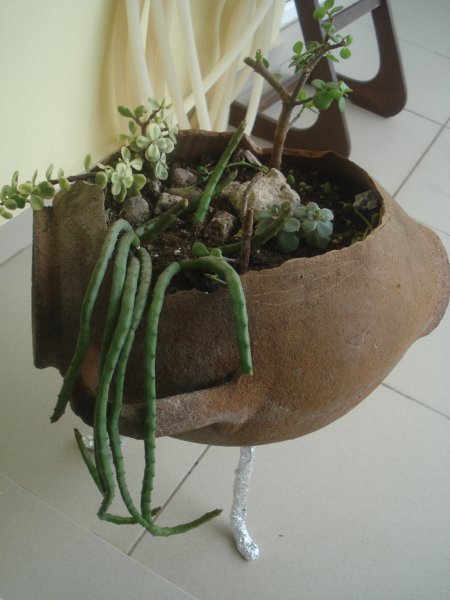 Name:  DSC07492.jpg
Views: 840
Size:  44.2 KB