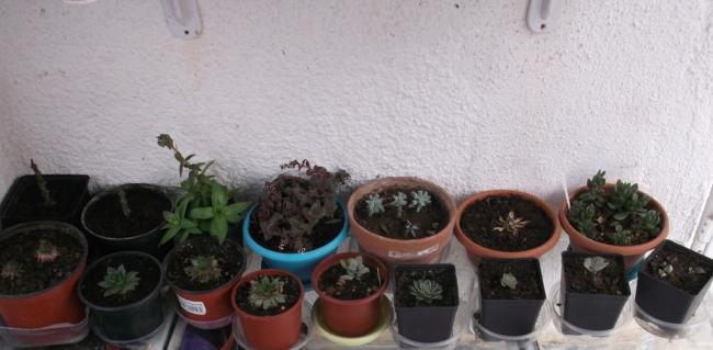 Name:  DSCF6818.jpg
Views: 684
Size:  30.7 KB