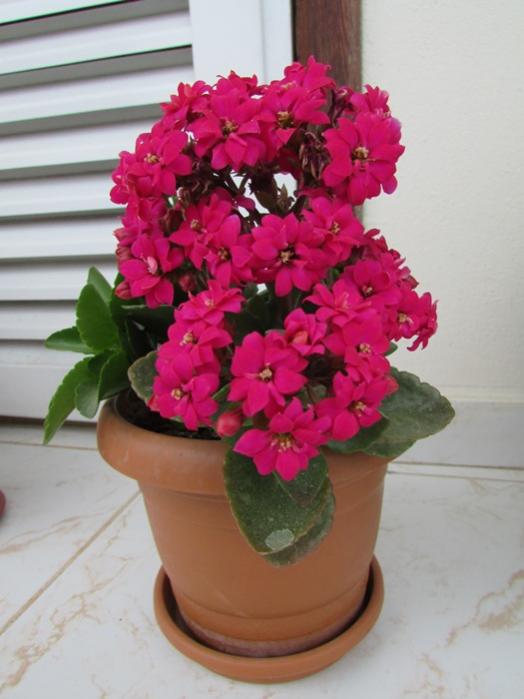 Name:  IMG_0060.jpg
Views: 793
Size:  41.0 KB