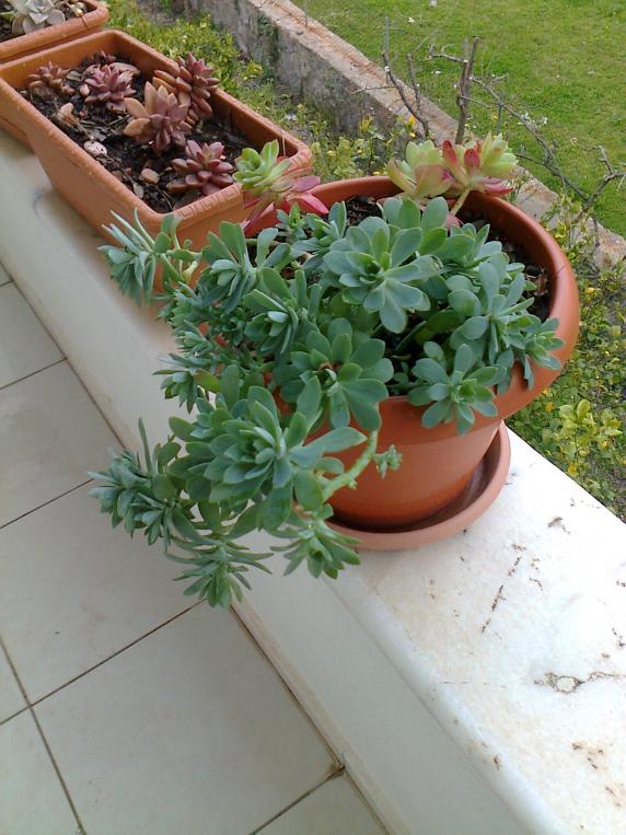 Name:  Fotoraf2110.jpg
Views: 727
Size:  72.8 KB