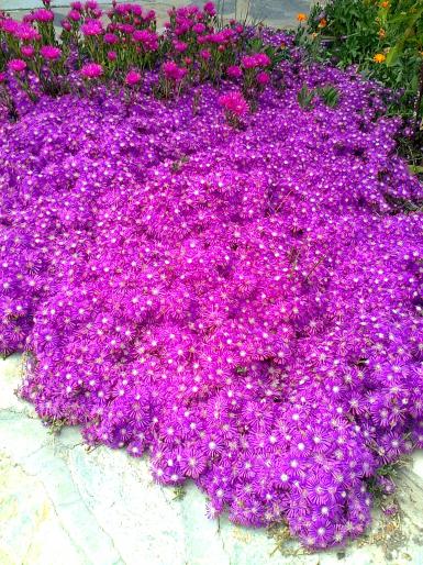 Name:  Fotoraf2295.jpg
Views: 982
Size:  75.1 KB