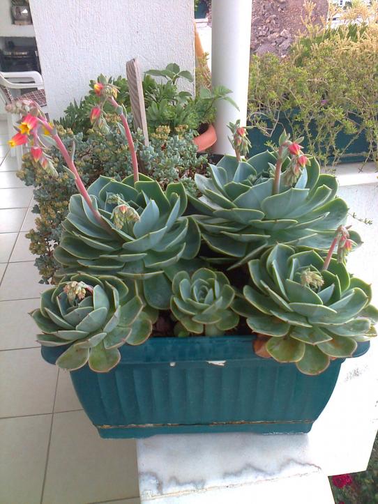 Name:  Fotoraf2872.jpg
Views: 833
Size:  74.1 KB