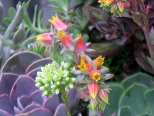 Name:  IMG_6445.jpg
Views: 884
Size:  29.9 KB