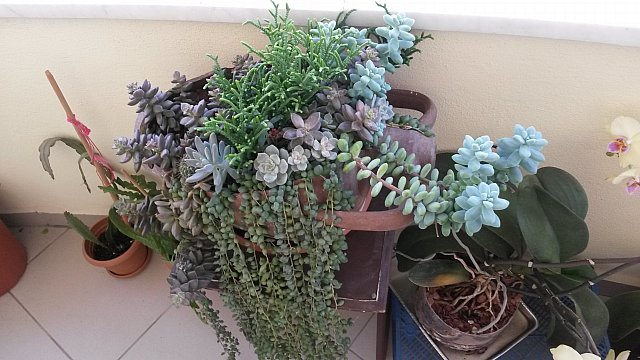 Name:  20150720_191242.jpg
Views: 927
Size:  67.8 KB