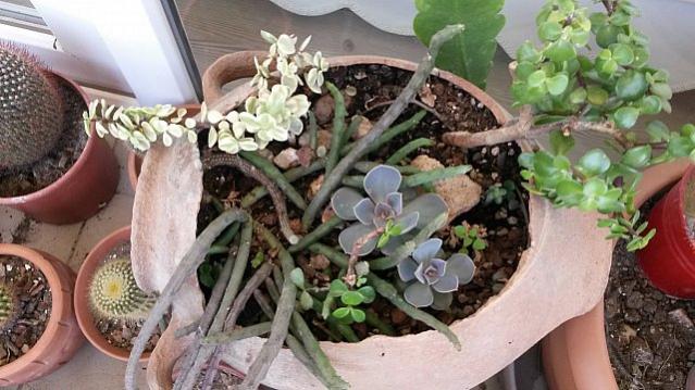 Name:  20150720_191300.jpg
Views: 921
Size:  51.3 KB