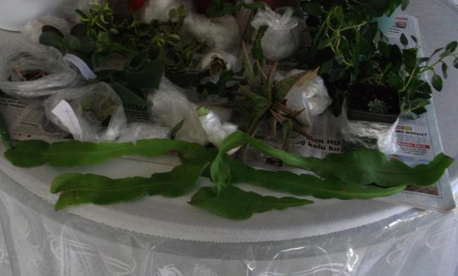 Name:  DSCF7557.jpg
Views: 557
Size:  32.1 KB