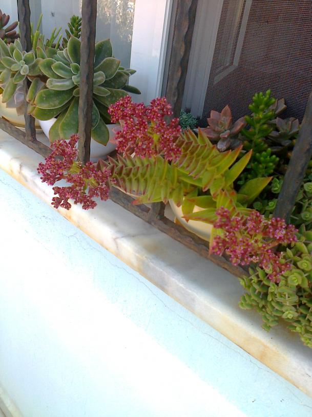 Name:  Fotoraf3267.jpg
Views: 816
Size:  71.2 KB