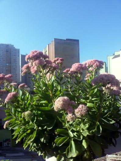 Name:  20150925_085125.jpg
Views: 755
Size:  36.4 KB