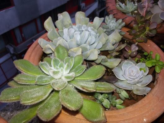 Name:  20151030_162949.jpg
Views: 707
Size:  35.4 KB