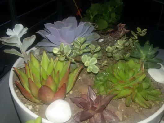 Name:  20151207_164057.jpg
Views: 804
Size:  29.1 KB