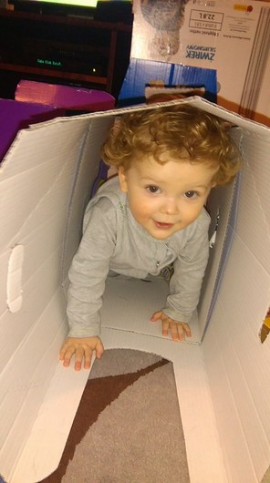 Name:  leo-001.jpg
Views: 629
Size:  38.7 KB