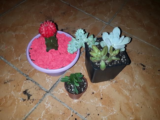 Name:  20160110_192118.jpg
Views: 777
Size:  48.0 KB
