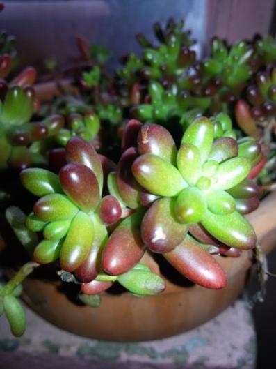 Name:  20160120_141934.jpg
Views: 824
Size:  28.9 KB