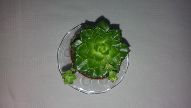 Name:  20160130_145741.jpg
Views: 462
Size:  19.8 KB