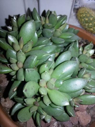 Name:  20160120_143047.jpg
Views: 726
Size:  34.5 KB