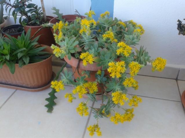 Name:  20160124_120353.jpg
Views: 644
Size:  40.3 KB