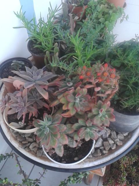 Name:  20160219_073538.jpg
Views: 635
Size:  50.4 KB