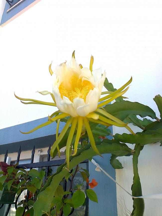 Name:  Fotoraf3322.jpg
Views: 772
Size:  61.2 KB