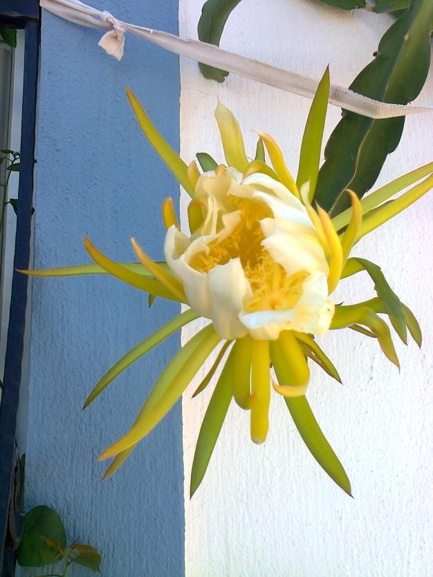 Name:  Fotoraf3313.jpg
Views: 770
Size:  71.2 KB