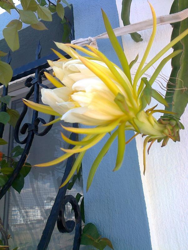 Name:  Fotoraf3314.jpg
Views: 727
Size:  72.2 KB