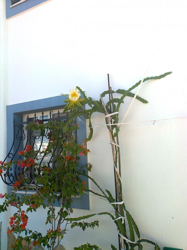 Name:  Fotoraf3319.jpg
Views: 788
Size:  64.6 KB
