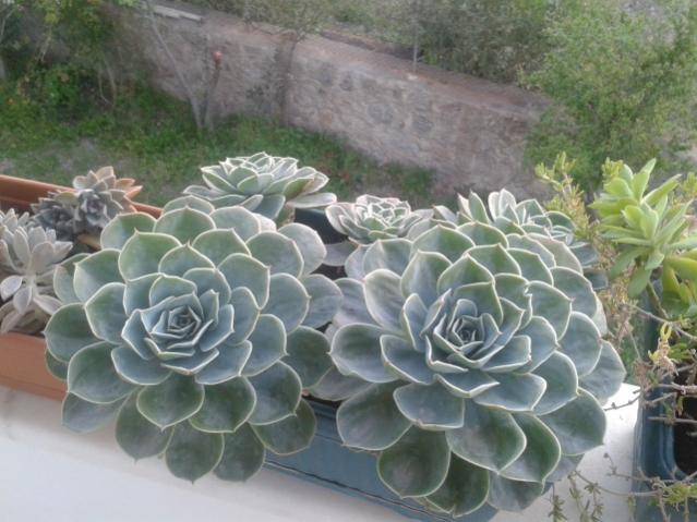 Name:  20160407_065142.jpg
Views: 1189
Size:  49.8 KB