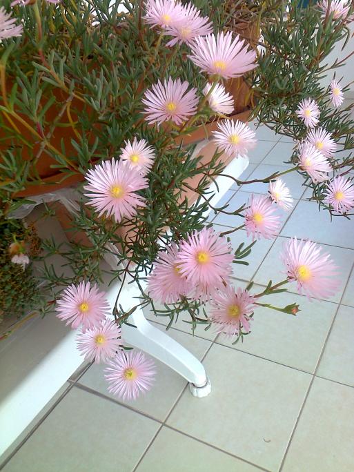 Name:  Fotoraf3720.jpg
Views: 765
Size:  75.7 KB