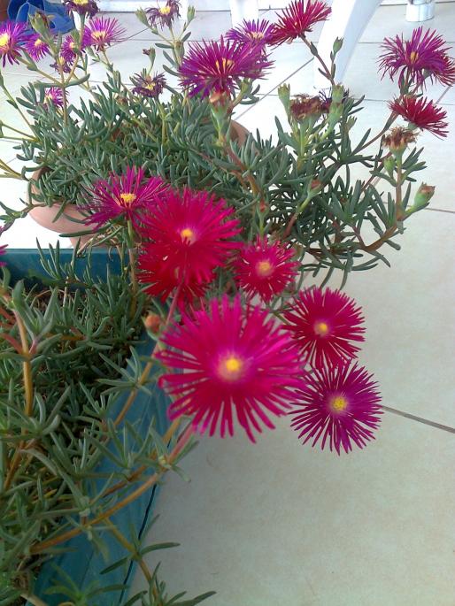 Name:  Fotoraf3726.jpg
Views: 760
Size:  75.8 KB