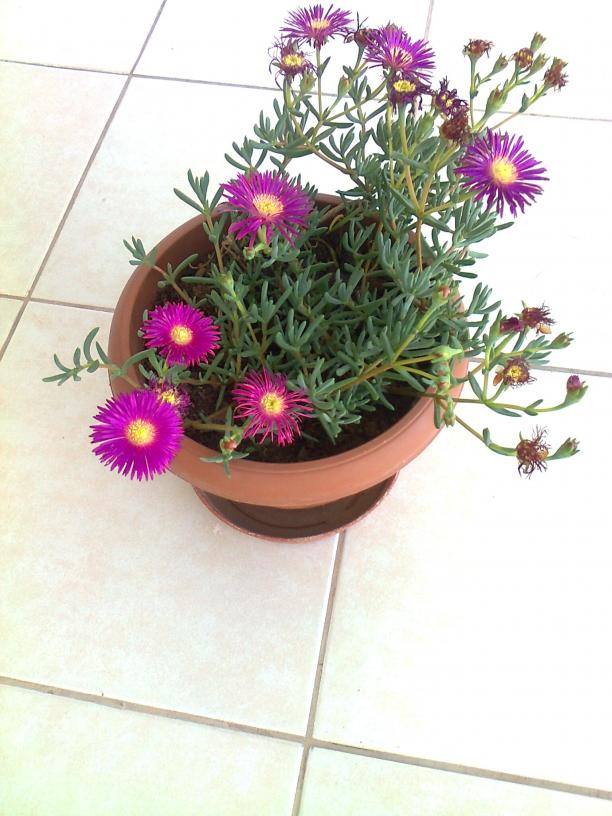 Name:  Fotoraf3730.jpg
Views: 784
Size:  71.5 KB