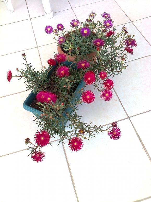 Name:  Fotoraf3723.jpg
Views: 795
Size:  72.7 KB