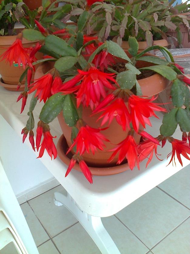 Name:  Fotoraf3736.jpg
Views: 776
Size:  71.0 KB