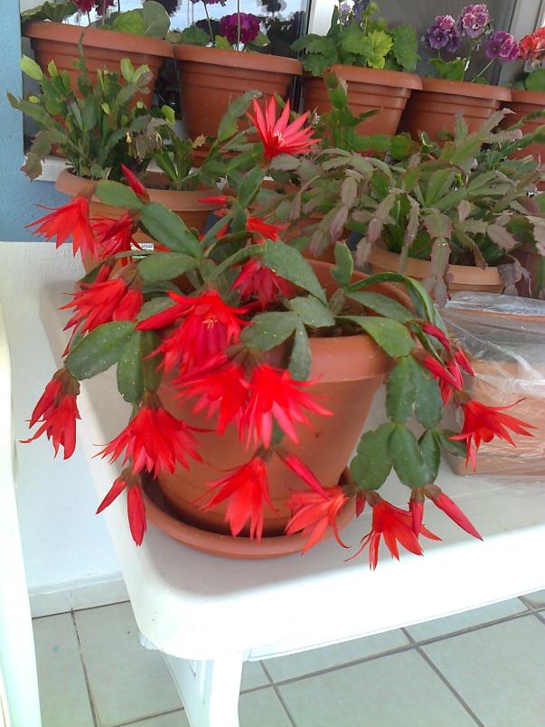 Name:  Fotoraf3735.jpg
Views: 795
Size:  72.1 KB