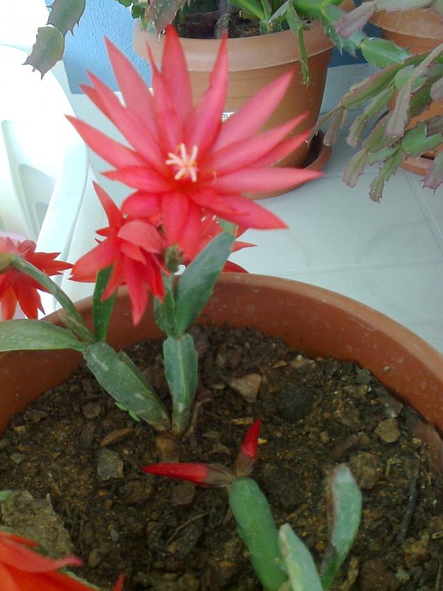 Name:  Fotoraf3738.jpg
Views: 771
Size:  70.1 KB