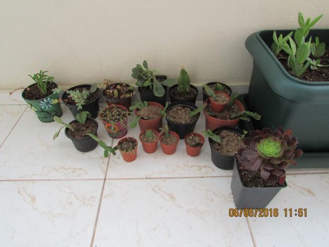 Name:  IMG_3027.jpg
Views: 914
Size:  34.1 KB