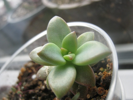 Name:  adn unuttum.jpg
Views: 955
Size:  66.8 KB