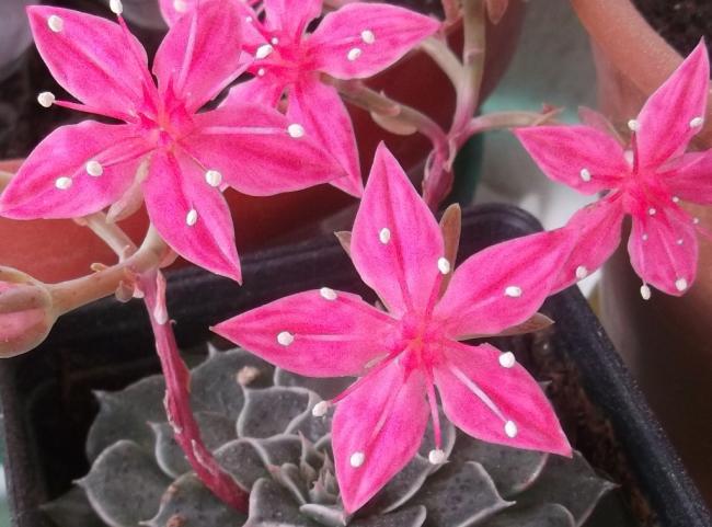 Name:  DSCF9329.jpg
Views: 656
Size:  48.5 KB