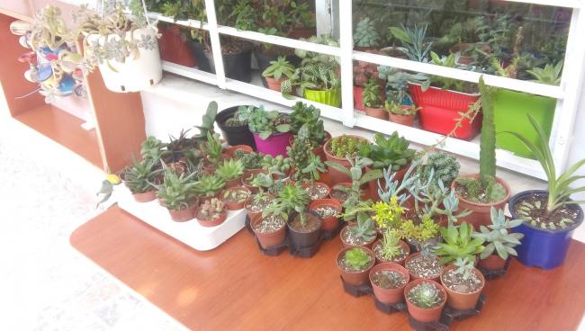 Name:  20160520_145049-1.jpg
Views: 901
Size:  45.9 KB