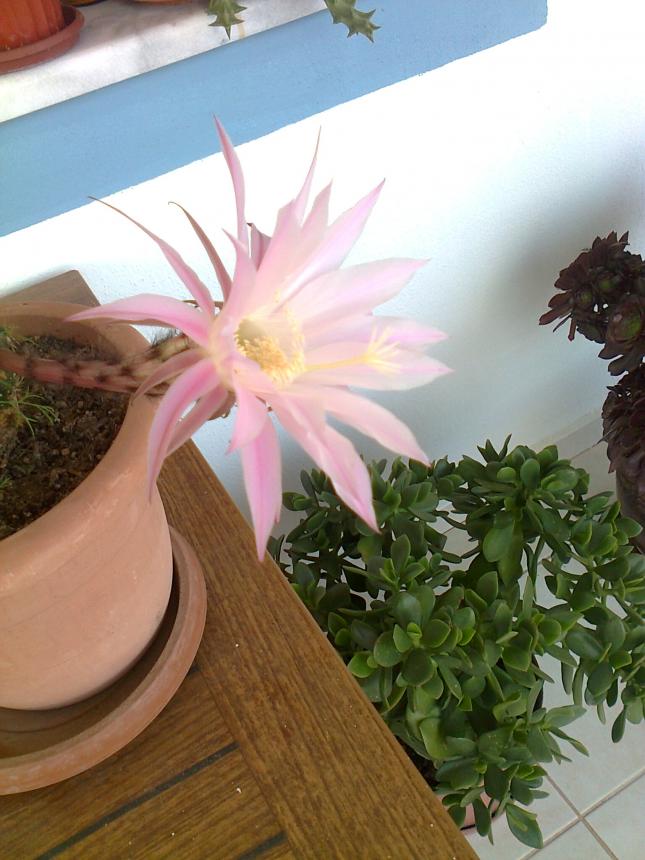 Name:  Fotoraf3868.jpg
Views: 650
Size:  69.8 KB
