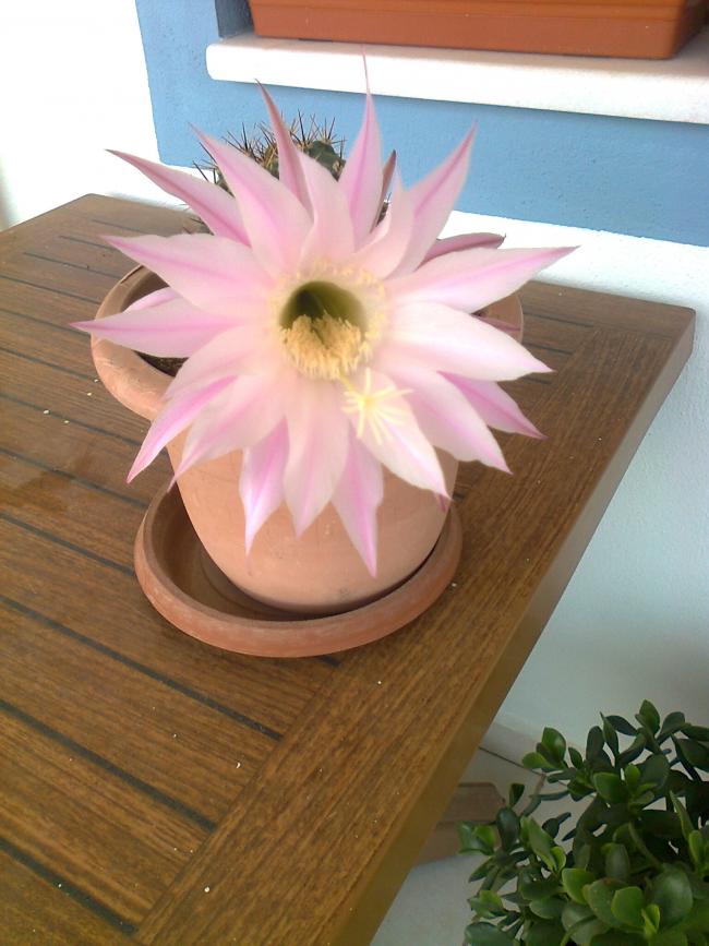 Name:  Fotoraf3869.jpg
Views: 630
Size:  64.6 KB