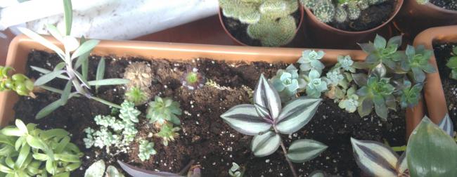 Name:  20160616_195216-1.jpg
Views: 383
Size:  35.6 KB